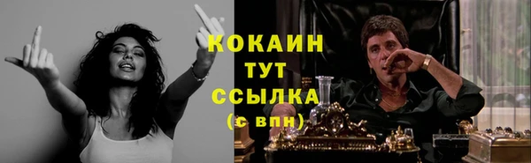 ПСИЛОЦИБИНОВЫЕ ГРИБЫ Вязники