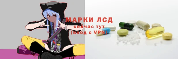 ПСИЛОЦИБИНОВЫЕ ГРИБЫ Вязники