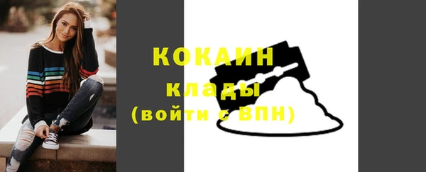 ПСИЛОЦИБИНОВЫЕ ГРИБЫ Вязники