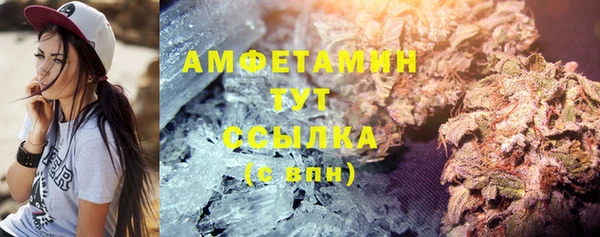 ПСИЛОЦИБИНОВЫЕ ГРИБЫ Вязники