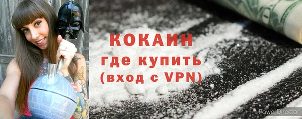 ПСИЛОЦИБИНОВЫЕ ГРИБЫ Вязники