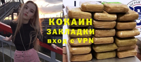 ПСИЛОЦИБИНОВЫЕ ГРИБЫ Вязники