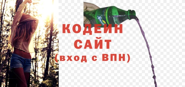 ПСИЛОЦИБИНОВЫЕ ГРИБЫ Вязники